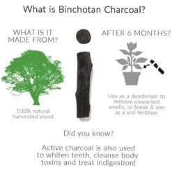 Black + Blum Binchotan Active Charcoal For Eau Good Water Bottles 4-pack -Brita Verkoopwinkel 1200x1200 45