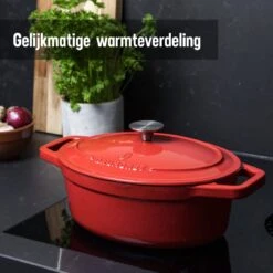 Daumonet Bocuse Rouge Gietijzeren Braadpan - Sudderpan Kersen Rood - Ovaal - Ø 29 Cm - 3 Liter - PFAS & PFOA Vrij - Emaille - Geschikt Voor Alle Warmtebronnen - Elektrisch - Gas - Halogeen - Inductie - Keramisch - Vaatwasserbestendig 15 Daumonet Bocuse Rouge Gietijzeren Braadpan - Sudderpan Kersen Rood - Ovaal - Ø 29 Cm - 3 Liter - PFAS & PFOA Vrij - Emaille - Geschikt Voor Alle Warmtebronnen - Elektrisch - Gas - Halogeen - Inductie - Keramisch - Vaatwasserbestendig -Brita Verkoopwinkel 1200x1200 635