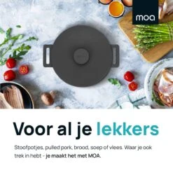 MOA Gietijzeren Braadpan - Inhoud 7,1 Liter - 29CM - Rond - Alle Warmtebronnen - Ook Voor Inductie - Gewicht 7,6 Kg - Zwart - MC29B -Brita Verkoopwinkel 1200x1200 716
