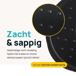 MOA Gietijzeren Braadpan - Inhoud 7,1 Liter - 29CM - Rond - Alle Warmtebronnen - Ook Voor Inductie - Gewicht 7,6 Kg - Zwart - MC29B -Brita Verkoopwinkel 1200x1200 718