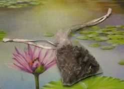 1000g Shungiet Shungite Stenen Voor Water En Ontstoring -Brita Verkoopwinkel 1200x853