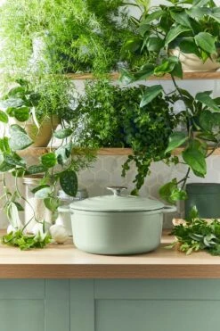 Tefal LOV Braadpan - 5L - Ø25 Cm - Groen -Brita Verkoopwinkel 800x1200 31