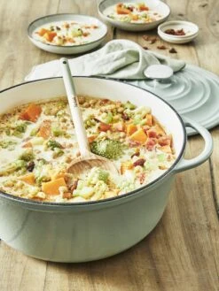 Tefal LOV Braadpan - 5L - Ø25 Cm - Groen -Brita Verkoopwinkel 900x1200 19